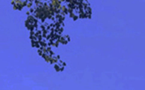 個性午安寄語大全(通用100句)