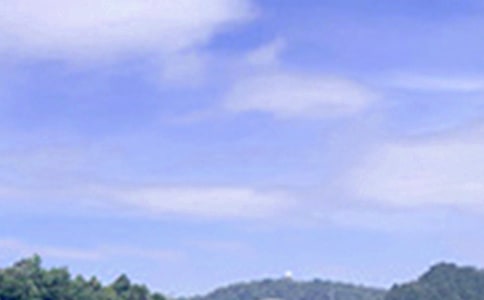 關(guān)于暖心午安語錄200句