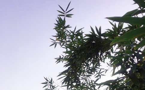 經典暖心午安說說160句