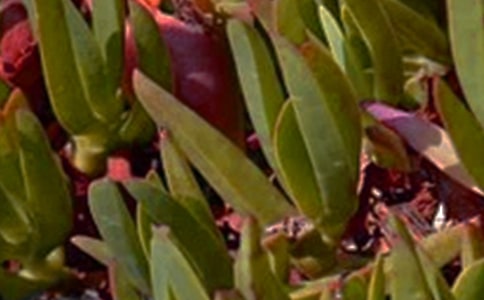 ů���簲���Z��ȫ60�侫�x