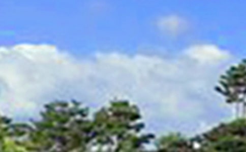 關于朋友圈午安心語大全90句精選