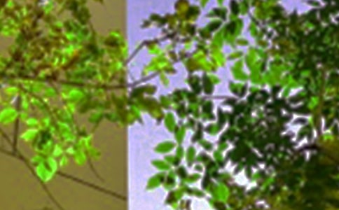 �P��ů���簲����Ȧ��ͨ��40�䣩