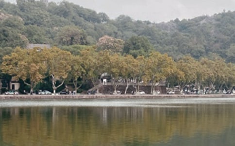 美麗的西湖作文