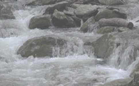 ��СϪ���ĸ衷�f�n�庆��