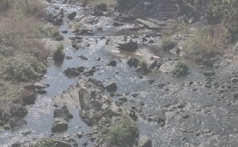 �ς�(g��)���o(j��)���wѩ��Ϫ���F(xi��n)������x����