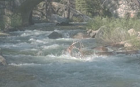 ��СϪ���ĸ衷�x��з��ģ����x14ƪ��