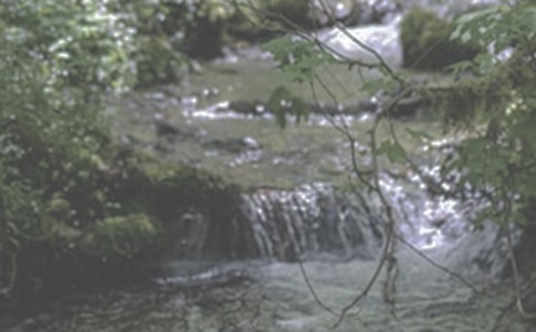 ��СϪ��ˮ푶��ˡ��̌W�OӋ