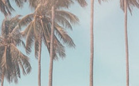 �_չ�ļ��������ӿ��Y(ji��)��ͨ��6ƪ��