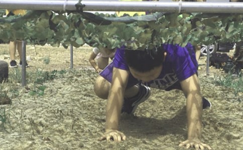 ����I���(d��ng)�ĵ��w��(hu��)���ģ�ͨ��12ƪ��