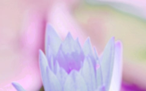 2021年祝夏至快樂(lè)的祝福語(yǔ)46條