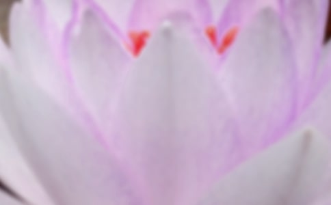 【通用】夏至祝福短句340句