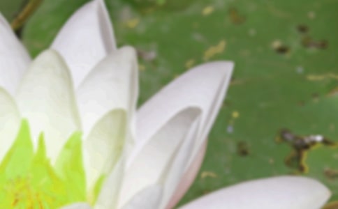 2022����?x��)r�ֵ�Ψ�����ӣ����x60�䣩