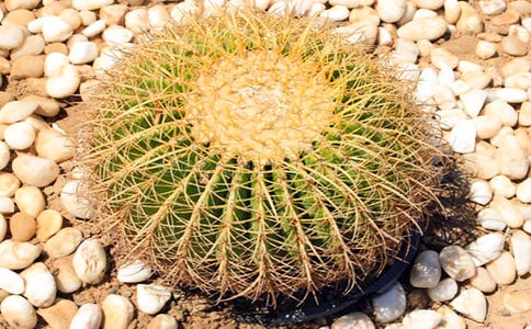 �����ƽo�ҵĆ�ʾ����(7ƪ)