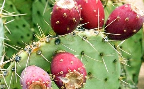 �����T�������ƵĆ�ʾ����15ƪ