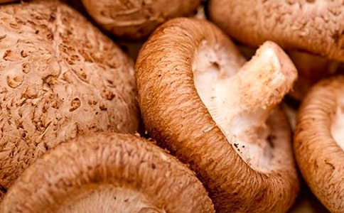 �{���㹽��ʲô��˼