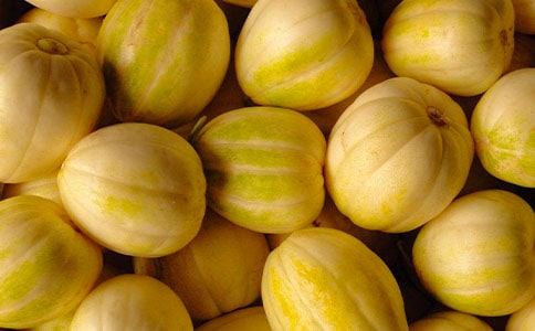 香瓜大戰作文集錦2篇