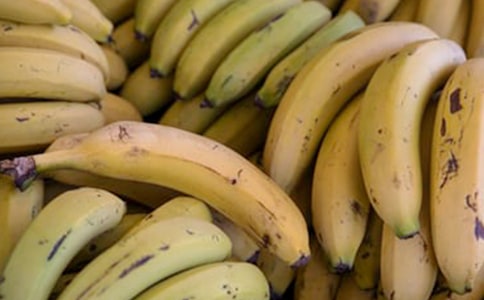 中班語言教案及反思《香蕉娃娃》