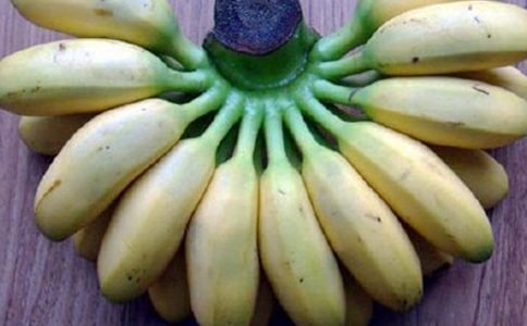 С�ࡶ�㽶���޺����̰�