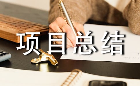 項目總結報告(精選16篇)