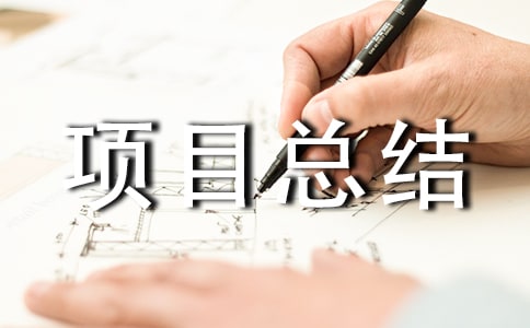 個人項目總結范文