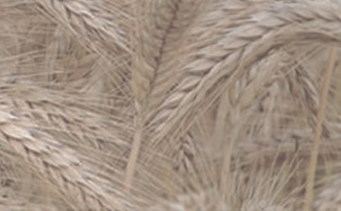 ��݆������С�����x���