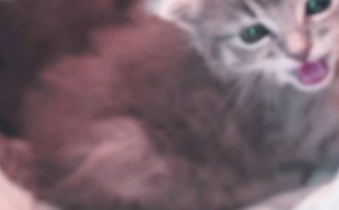 С������̰���С؈���坍