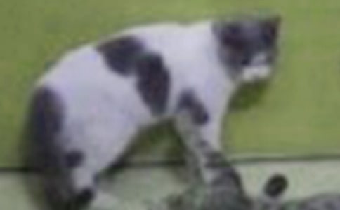 �P��С؈����500��3ƪ