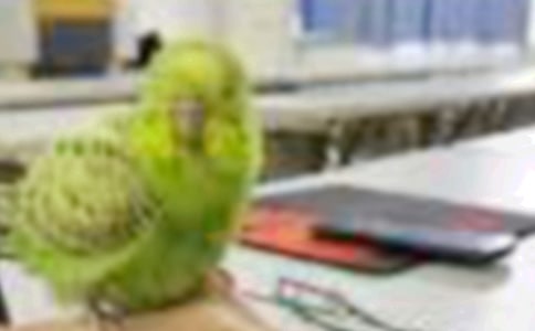 ����С�B���f�n��4ƪ