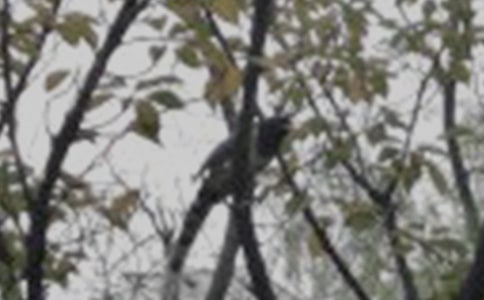 ���wС�B�Ć�ʾ����1000��