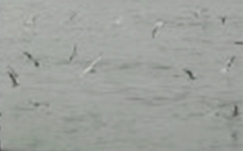 �茑С�B�ĬF(xi��n)��Ԋ��