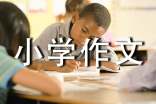 小學(xué)作文:科技改變我們的生活400字