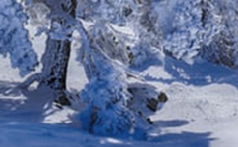 �P��Сѩ�ă�������