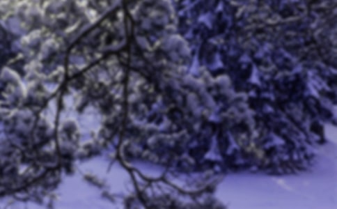 Сѩ�B(y��ng)��С֪�R(sh��)