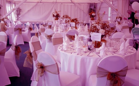 �»�c�������~����