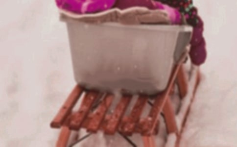 《雪橇》讀后感