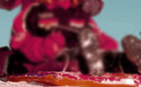 ѩ��Ȯ����