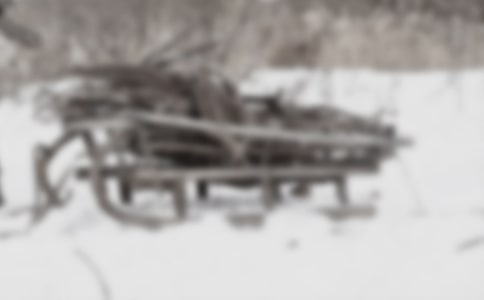 ��ѩ��Ȯ֮�衷�x���