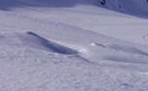 ���oѩɽ�µ�׿��ɢ��