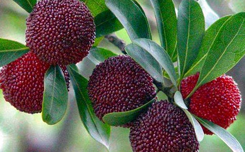 �Ґ۹��l�ė�÷�̌W��˼1000��