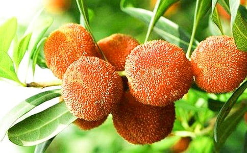 ���l�خa��÷����