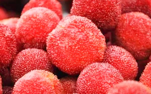 �Ґۼ��l�ė�÷����250�֣�ͨ��62ƪ��