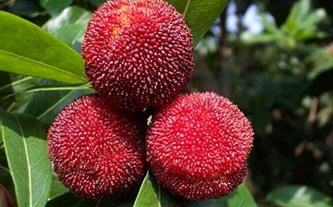 (���])���l�ė�÷