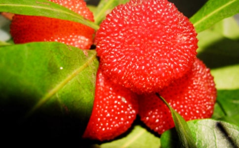 ���Ґ۹��l�ė�÷���Ľ̰��OӋ