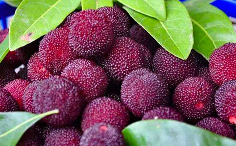 ���l�ė�÷����(�ϼ�15ƪ)