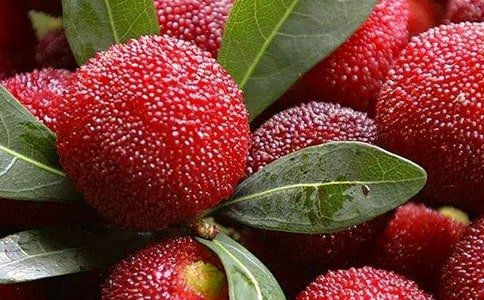 ���l�ė�÷���ļ���15ƪ