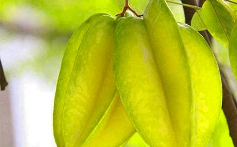 �������ҡ��f�n��20ƪ