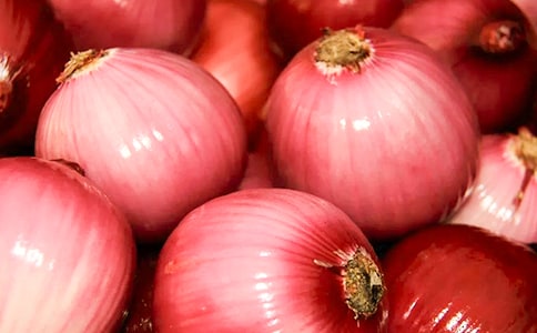 ���[�^�v�Uӛ�x��У����x9ƪ��