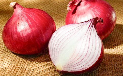 �J�R���[�^���а�ƌW��ӽ̰�