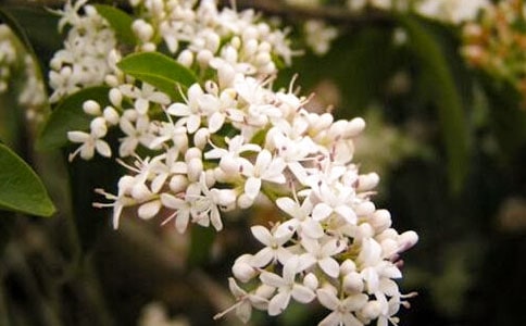 ҹ����500����ӛ