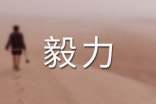 毅力贏得精彩作文